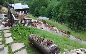Le Refuge des Marmottes